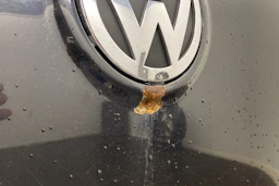 musta Volkswagen Golf 2008 kuva 22.