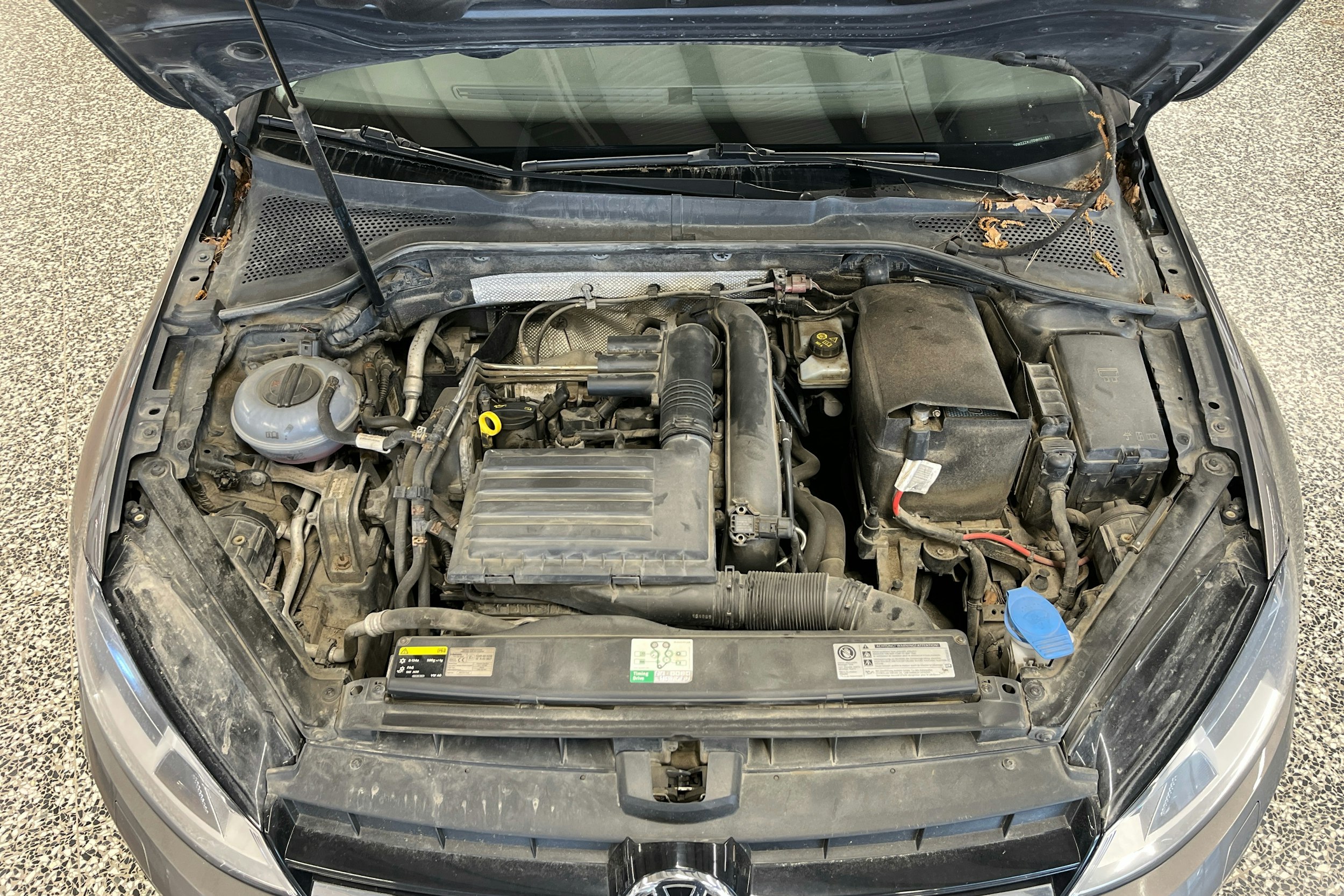 Harmaa Volkswagen GOLF 2013 kuva 14.
