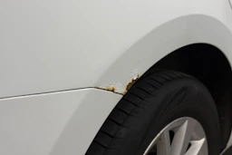 Valkoinen Volkswagen GOLF 2014 kuva 35.