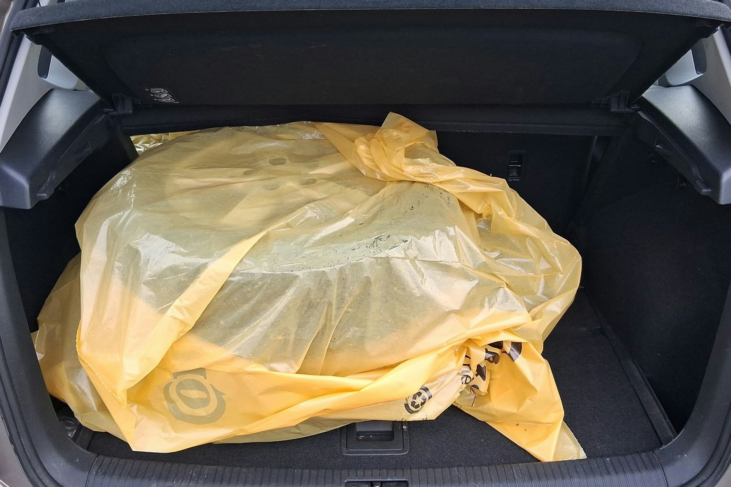 ruskea (beige) Volkswagen Golf Sportsvan 2014 kuva 15.