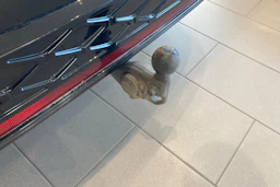 musta Volkswagen ID.7 2025 kuva 24.