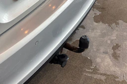 Hopea Volkswagen JETTA 2012 kuva 12.