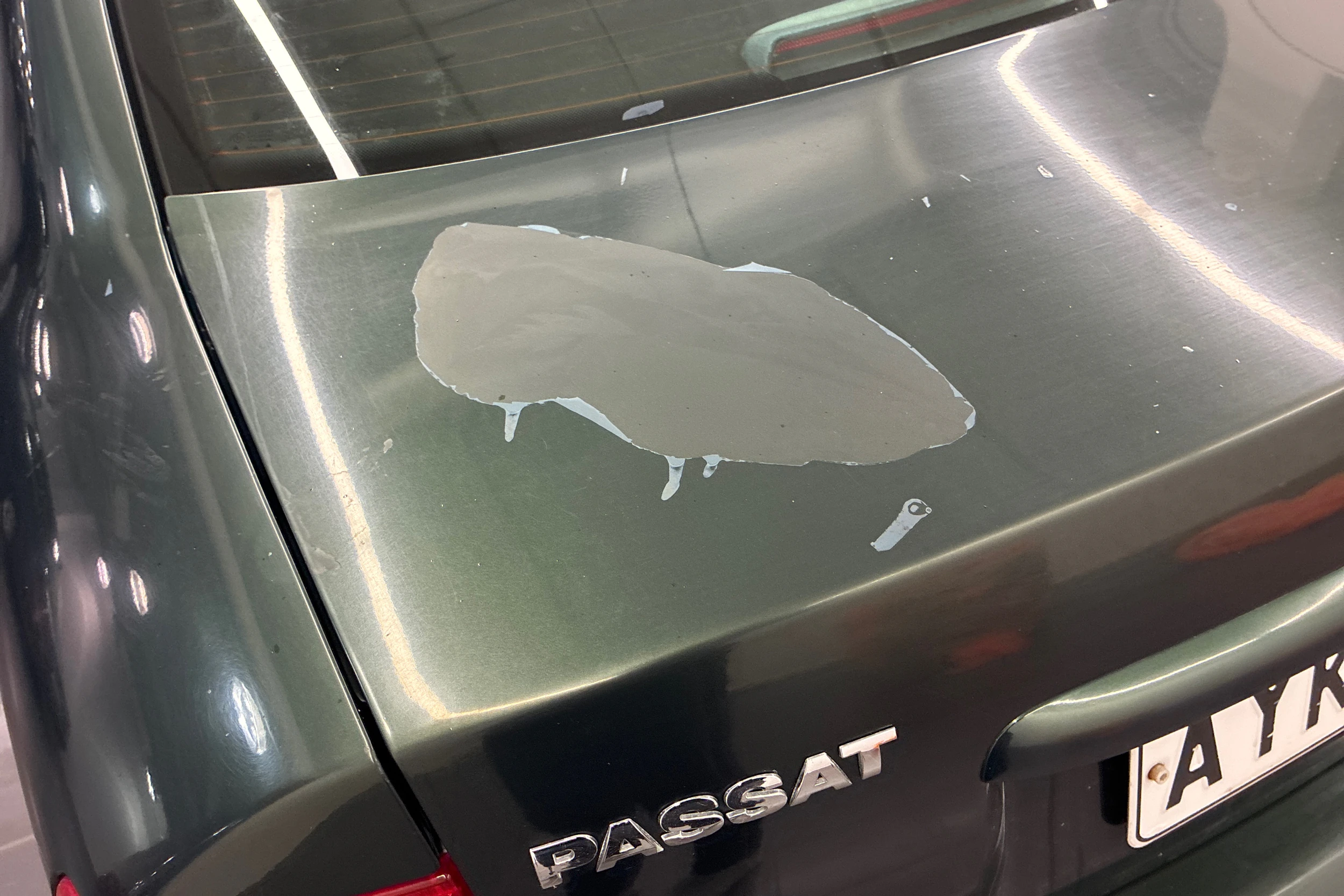 vihreä Volkswagen Passat 1998 kuva 11.