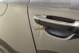 musta Volkswagen Passat 2006 kuva 22.
