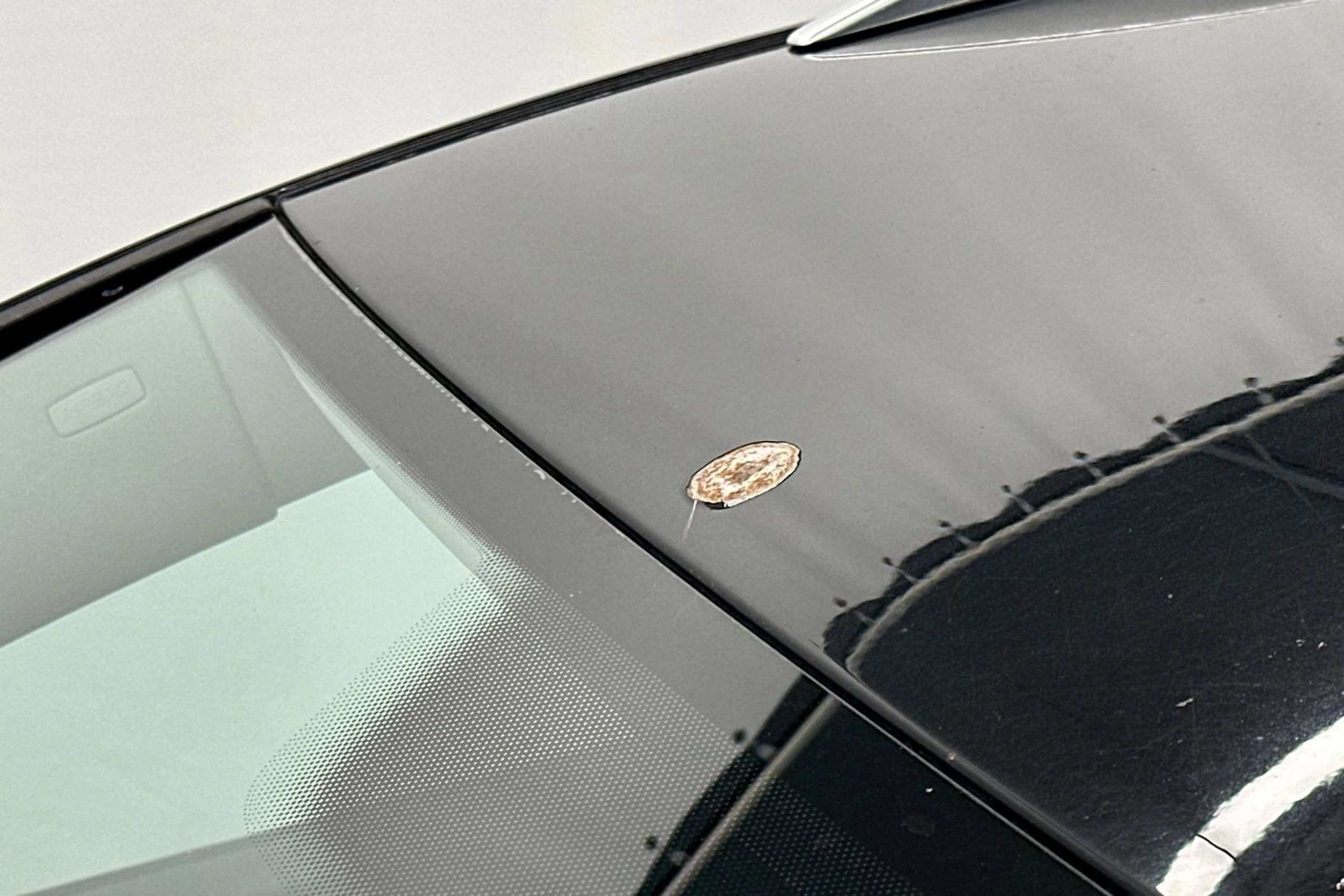 Musta Volkswagen PASSAT 2008 kuva 20.