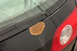 Musta Volkswagen PASSAT 2008 kuva 23.