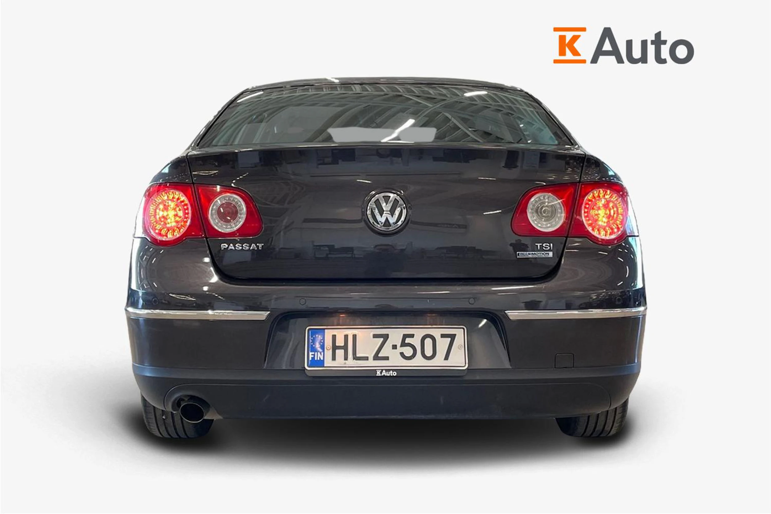 ruskea (beige) Volkswagen Passat 2010 kuva 4.