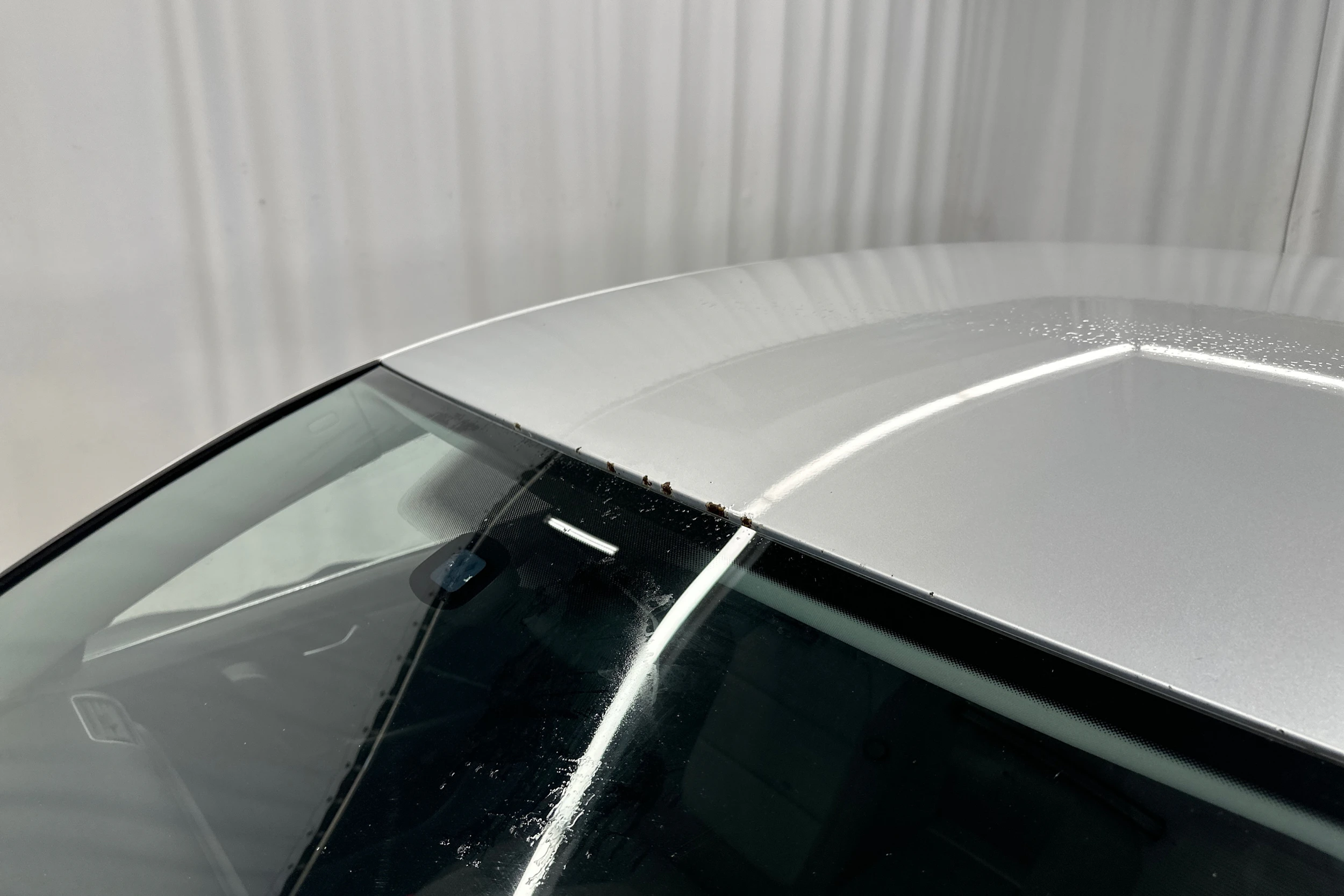 harmaa Volkswagen Passat 2011 kuva 24.