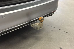 Harmaa Volkswagen PASSAT 2022 kuva 12.