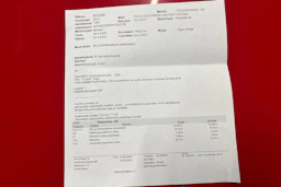 Punainen Volkswagen POLO 1998 kuva 24.