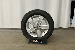 sininen Volkswagen Polo 2023 kuva 13.