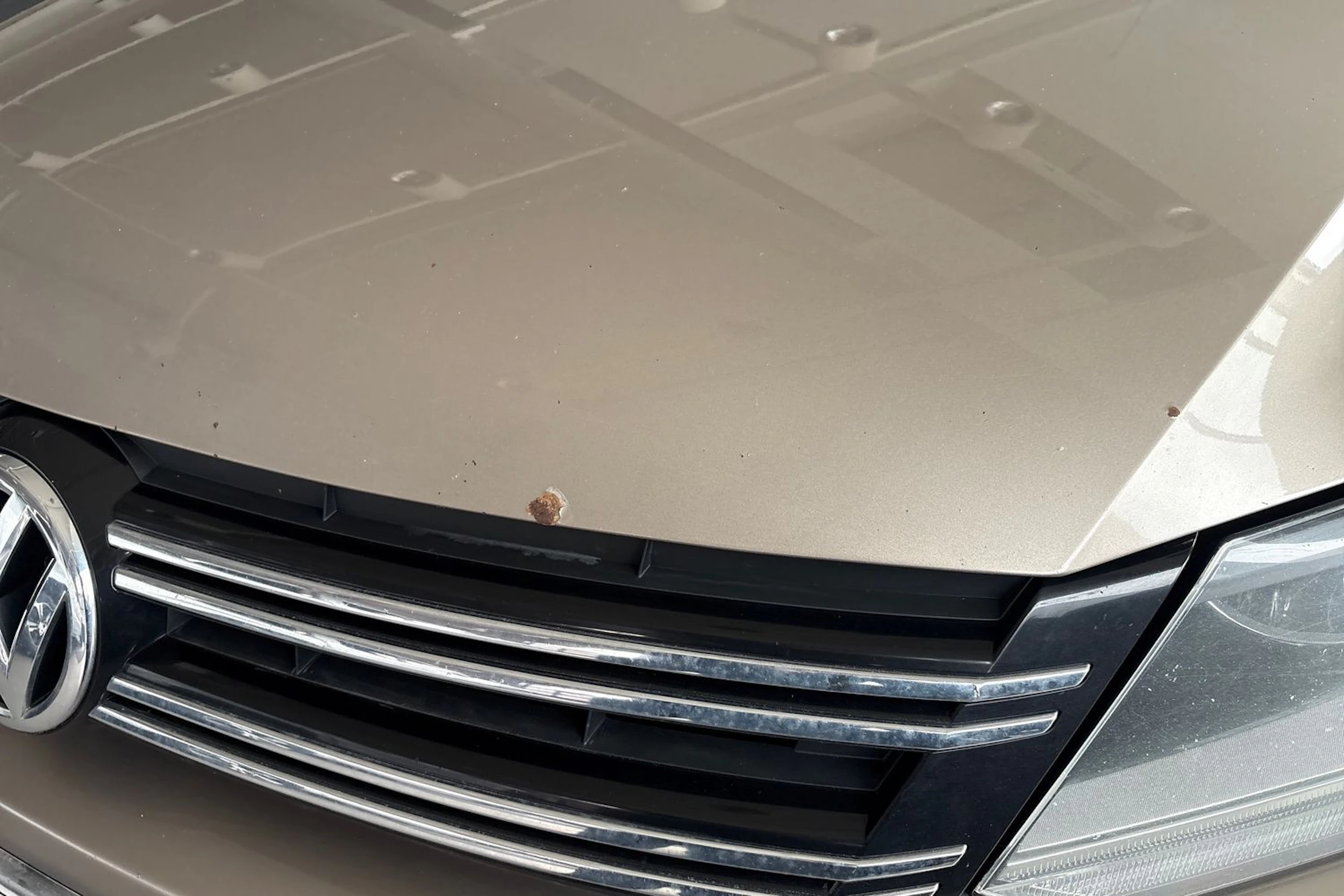 ruskea (beige) Volkswagen Tiguan 2011 kuva 16.