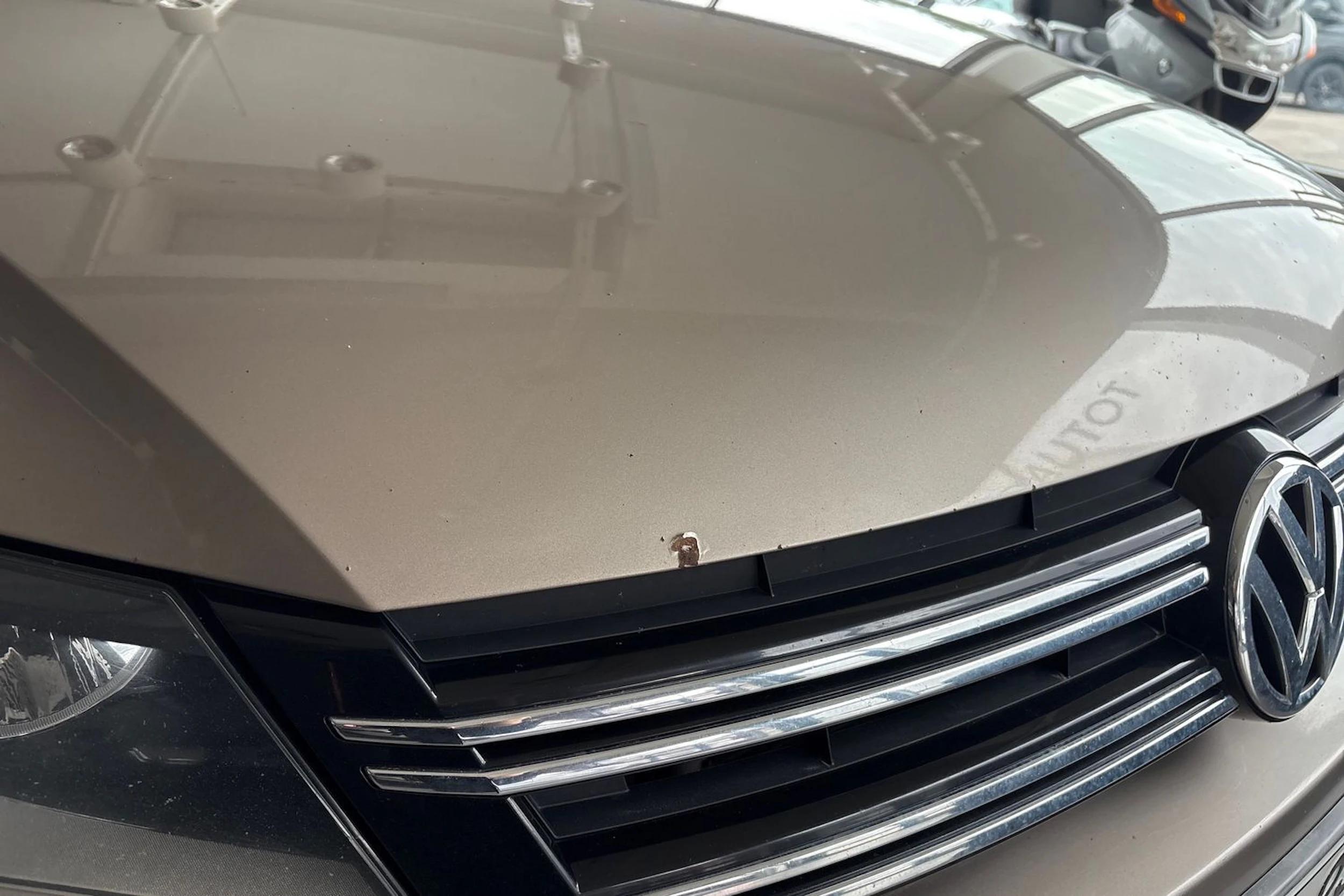 ruskea (beige) Volkswagen Tiguan 2011 kuva 17.