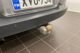 harmaa Volkswagen Tiguan 2014 kuva 23.