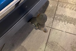 Sininen Volkswagen Tiguan 2017 kuva 19.