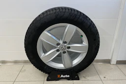 Harmaa Volkswagen Tiguan 2021 kuva 22.