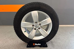 hopea Volkswagen Tiguan 2021 kuva 10.