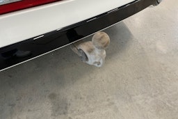 valkoinen Volkswagen Tiguan 2022 kuva 18.