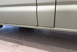 vihreä Volkswagen Transporter 2006 kuva 37.