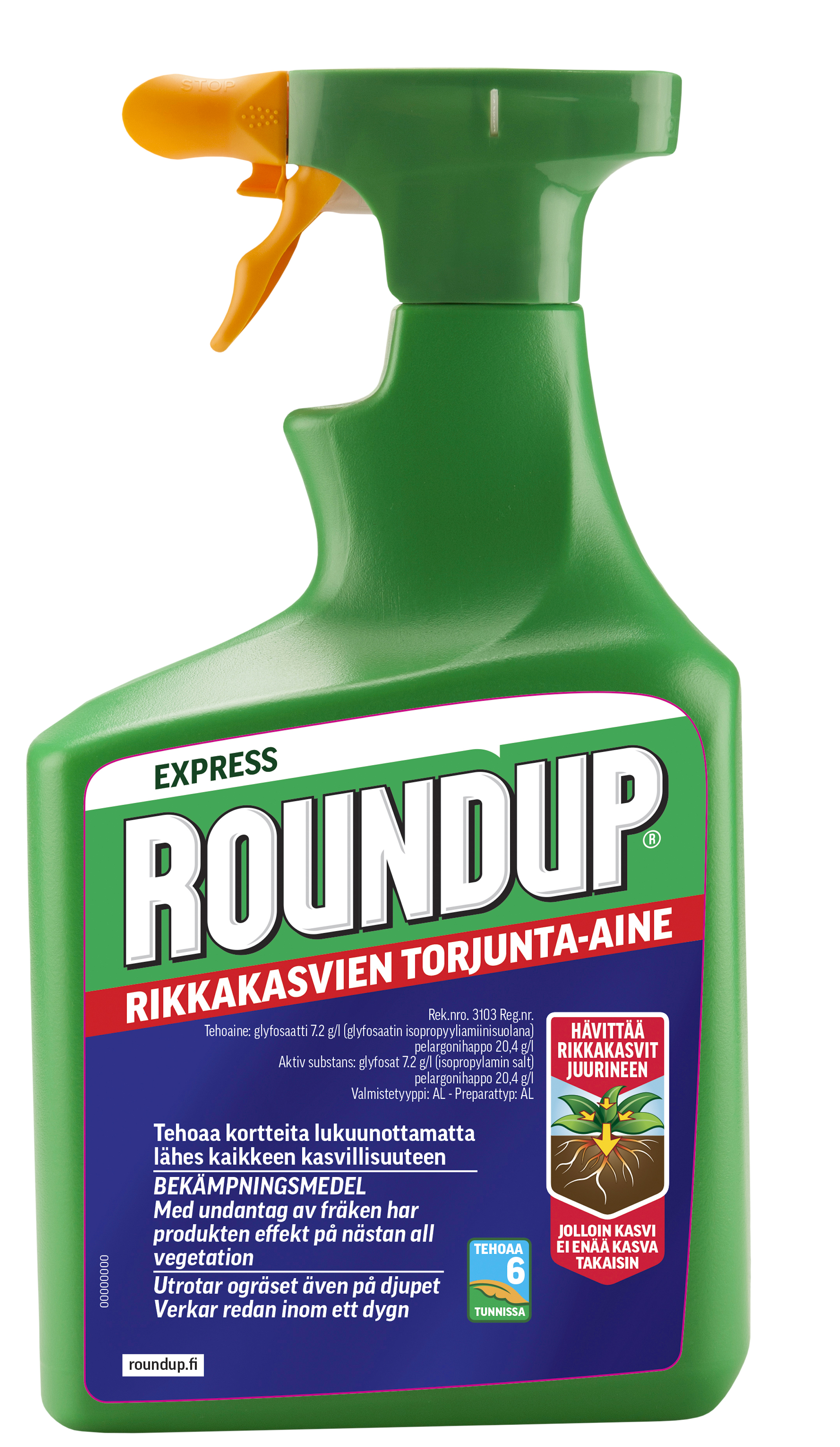 Japanilainen Extreme porno putki