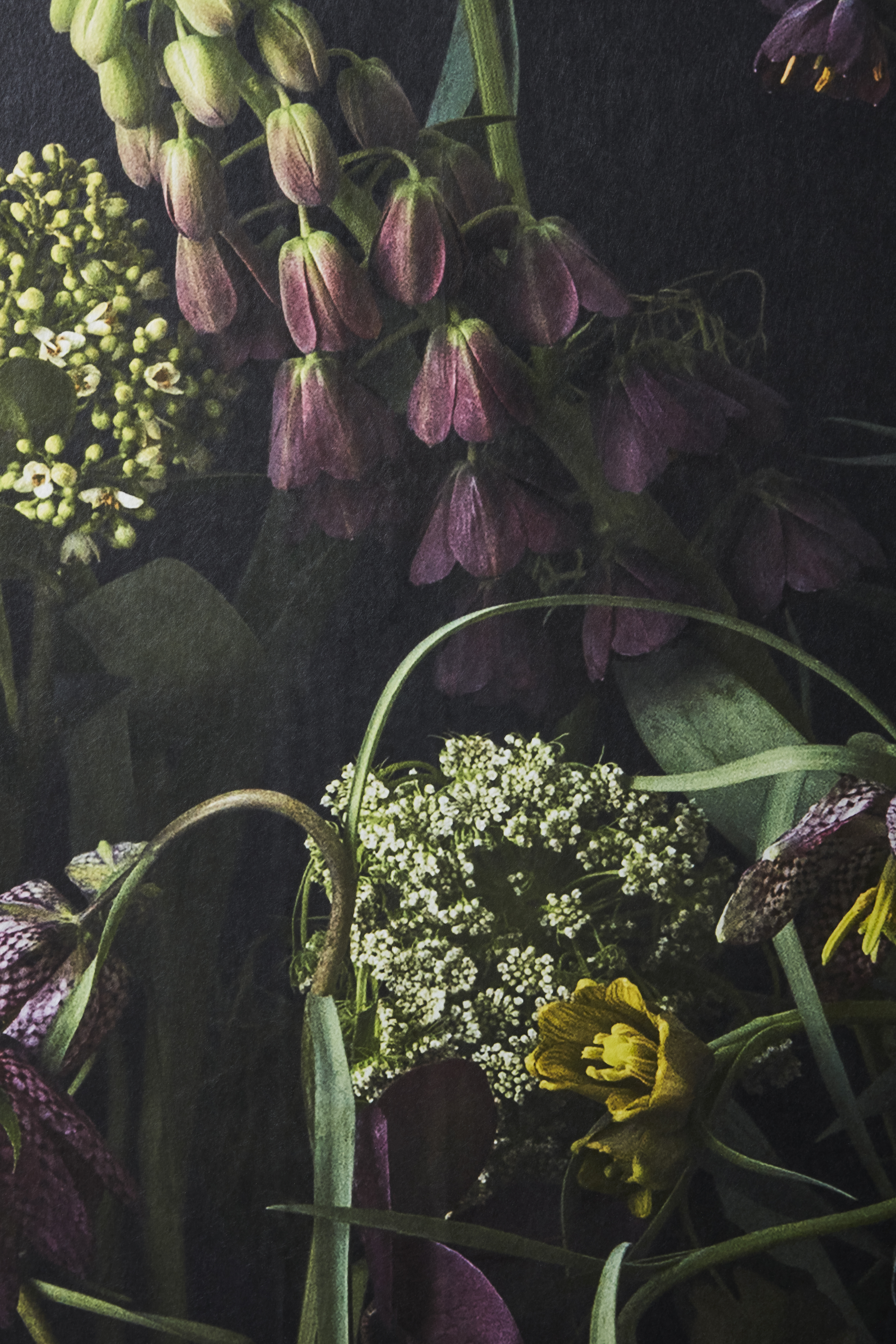 Kuvatapetti Cello Fritillaria 360x265cm kuitu