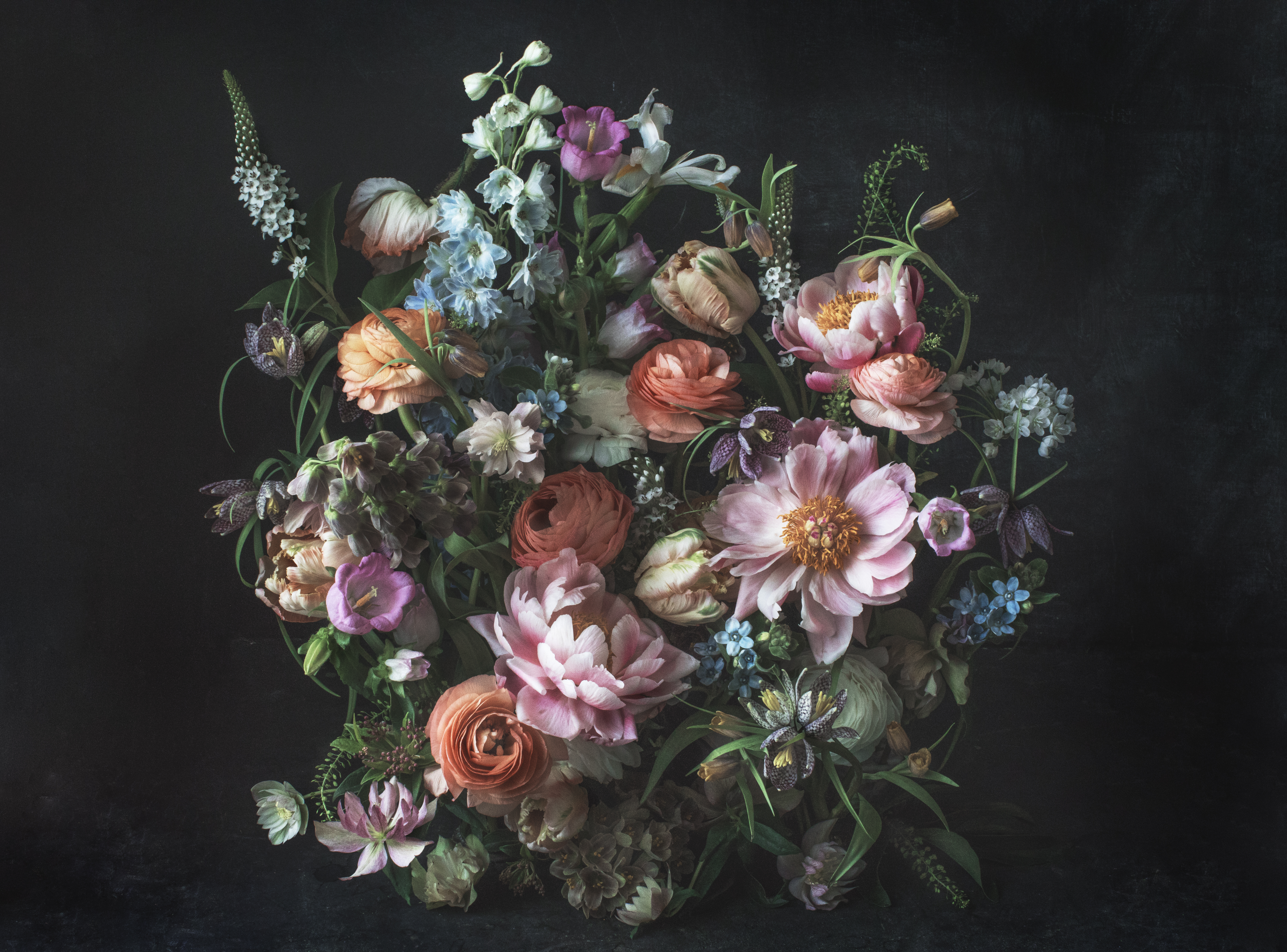 Kuvatapetti Cello Whispering 360x265cm kuitu