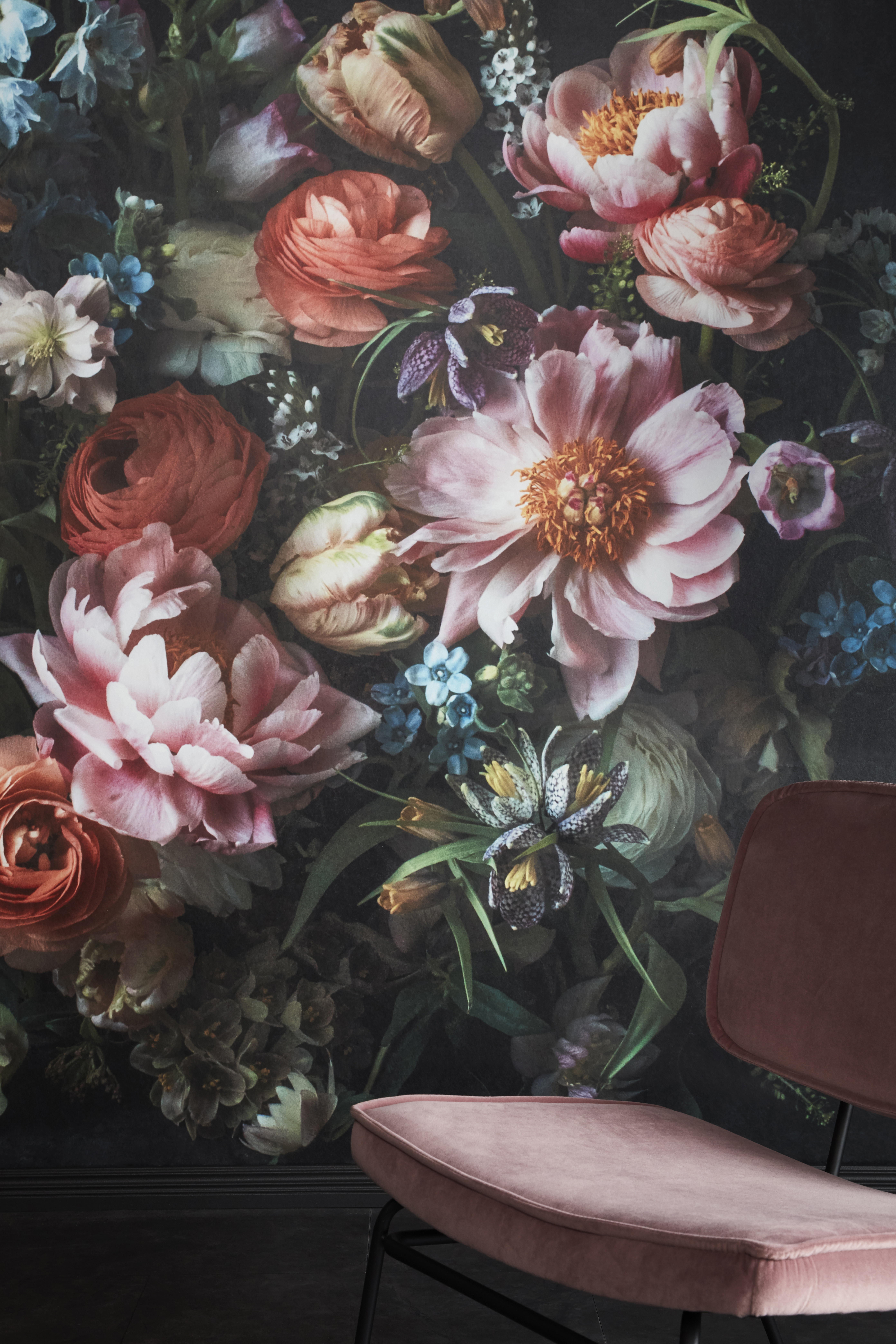 Kuvatapetti Cello Whispering 360x265cm kuitu