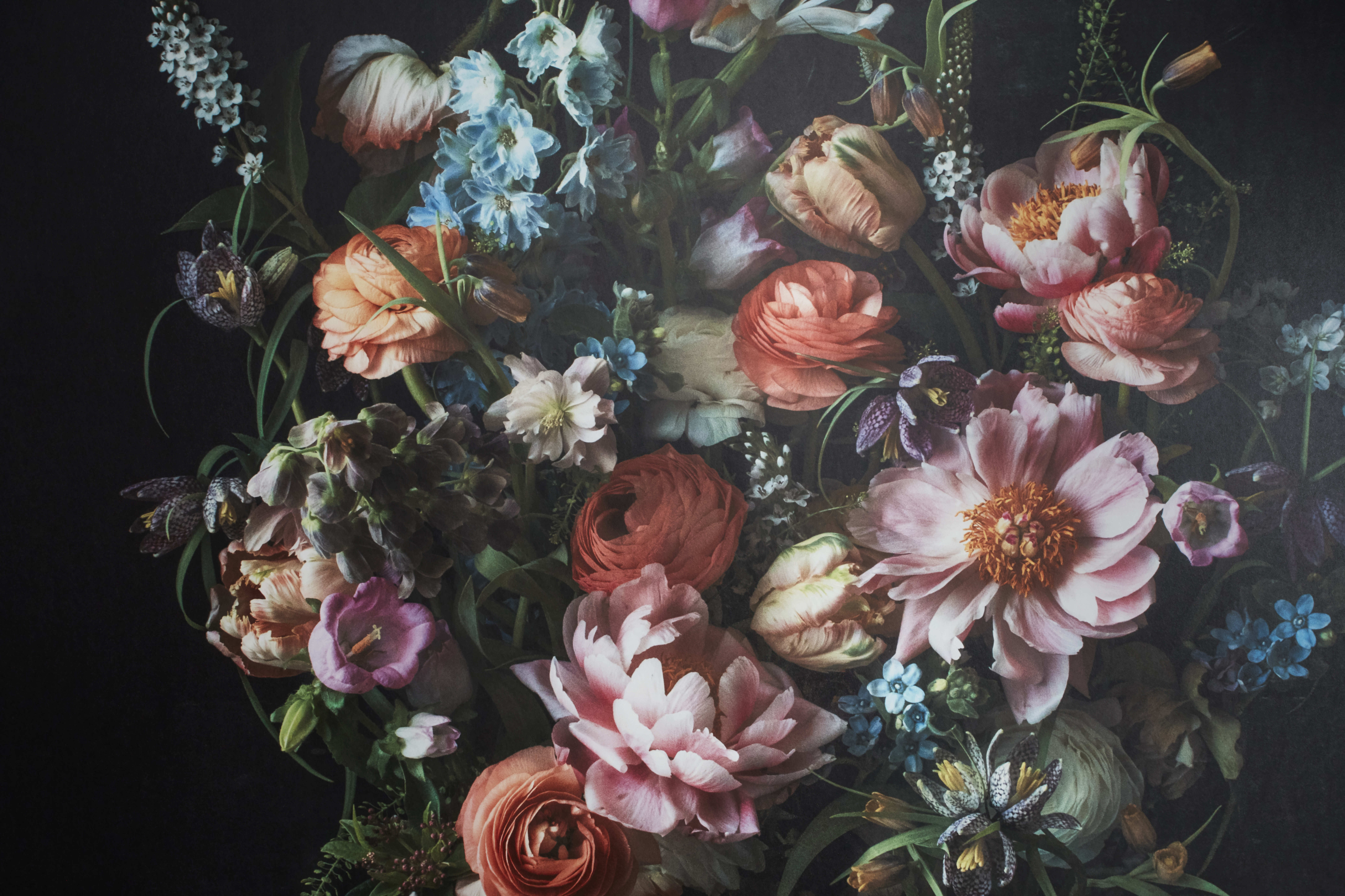 Kuvatapetti Cello Whispering 360x265cm kuitu