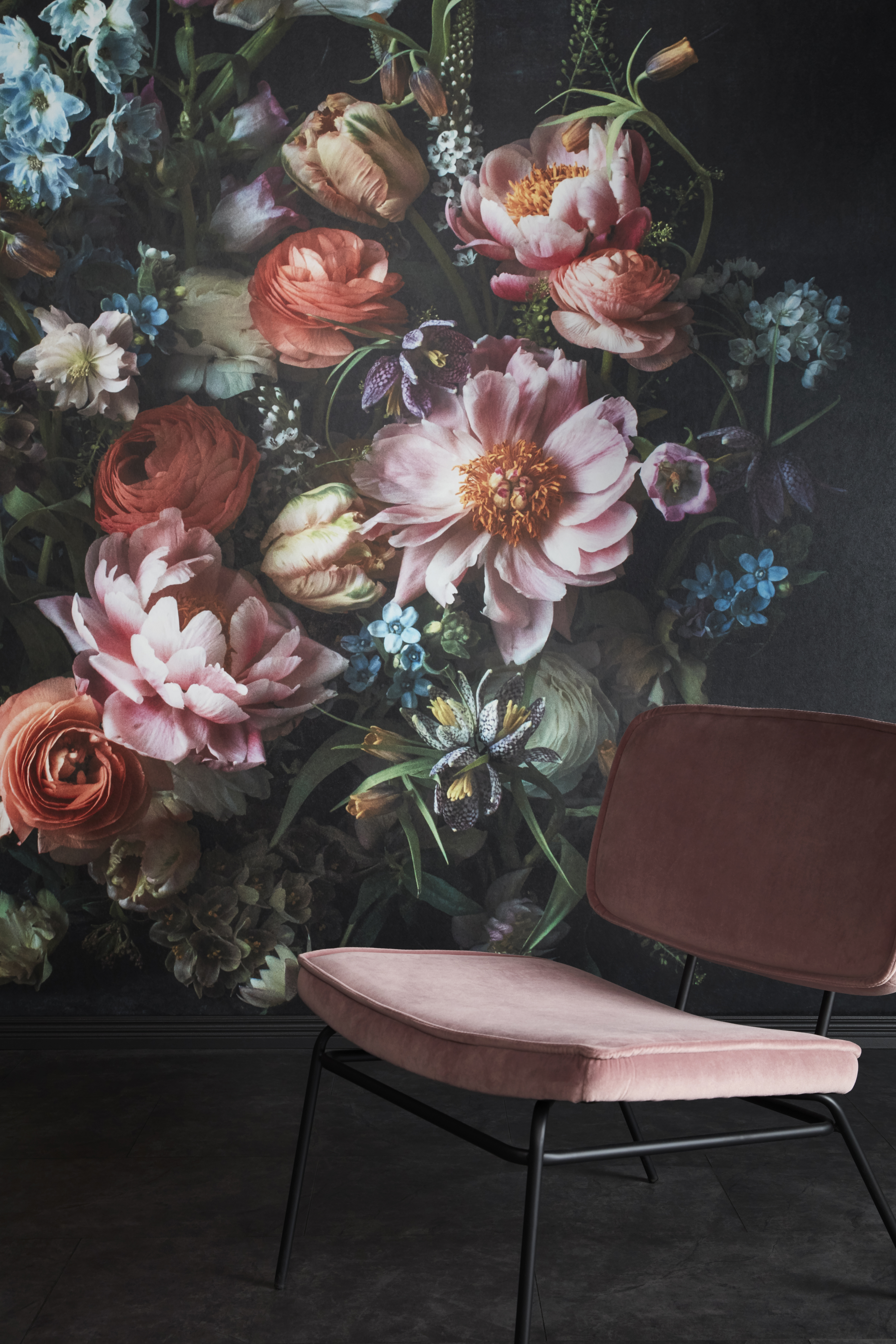 Kuvatapetti Cello Whispering 360x265cm kuitu