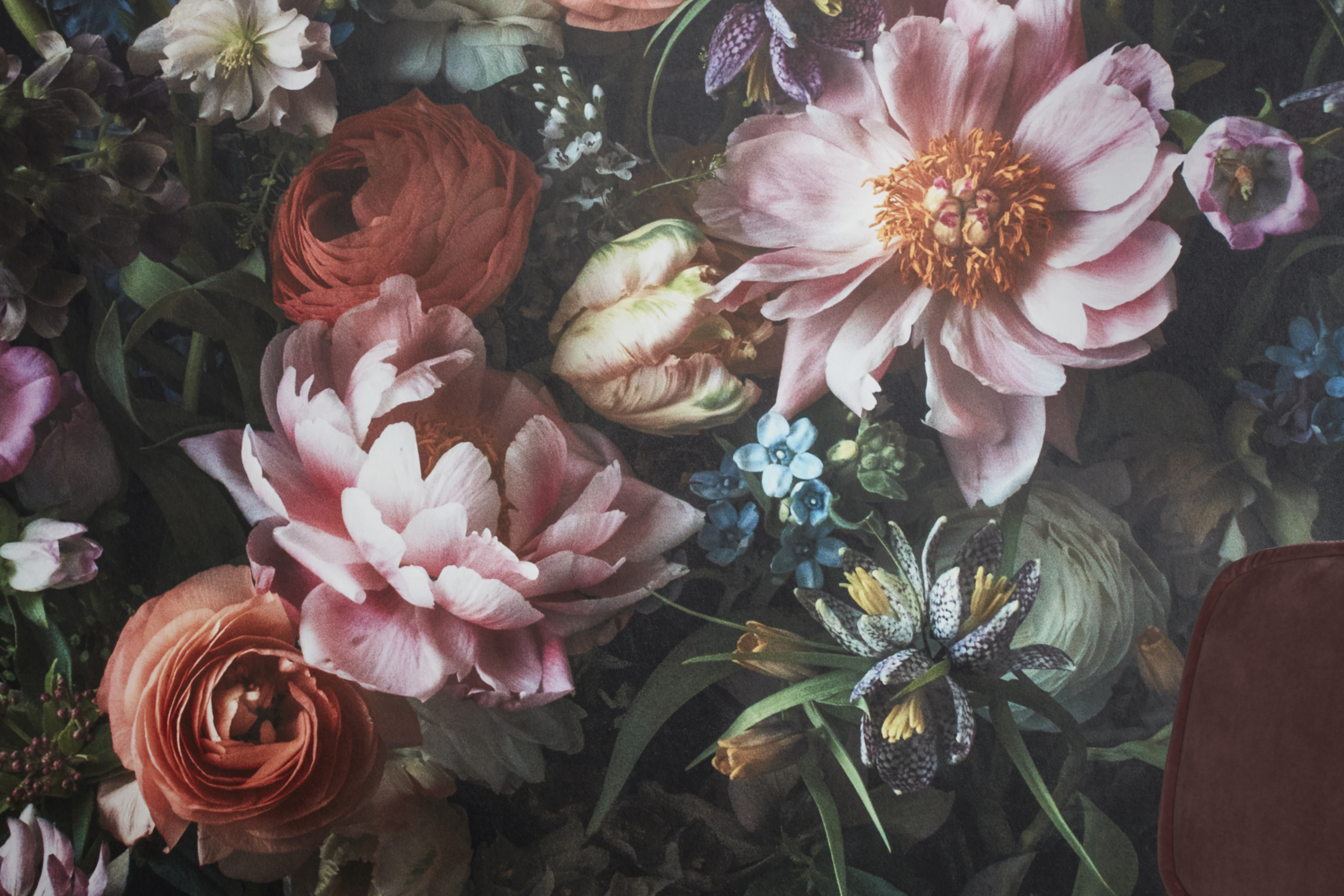 Kuvatapetti Cello Whispering 360x265cm kuitu