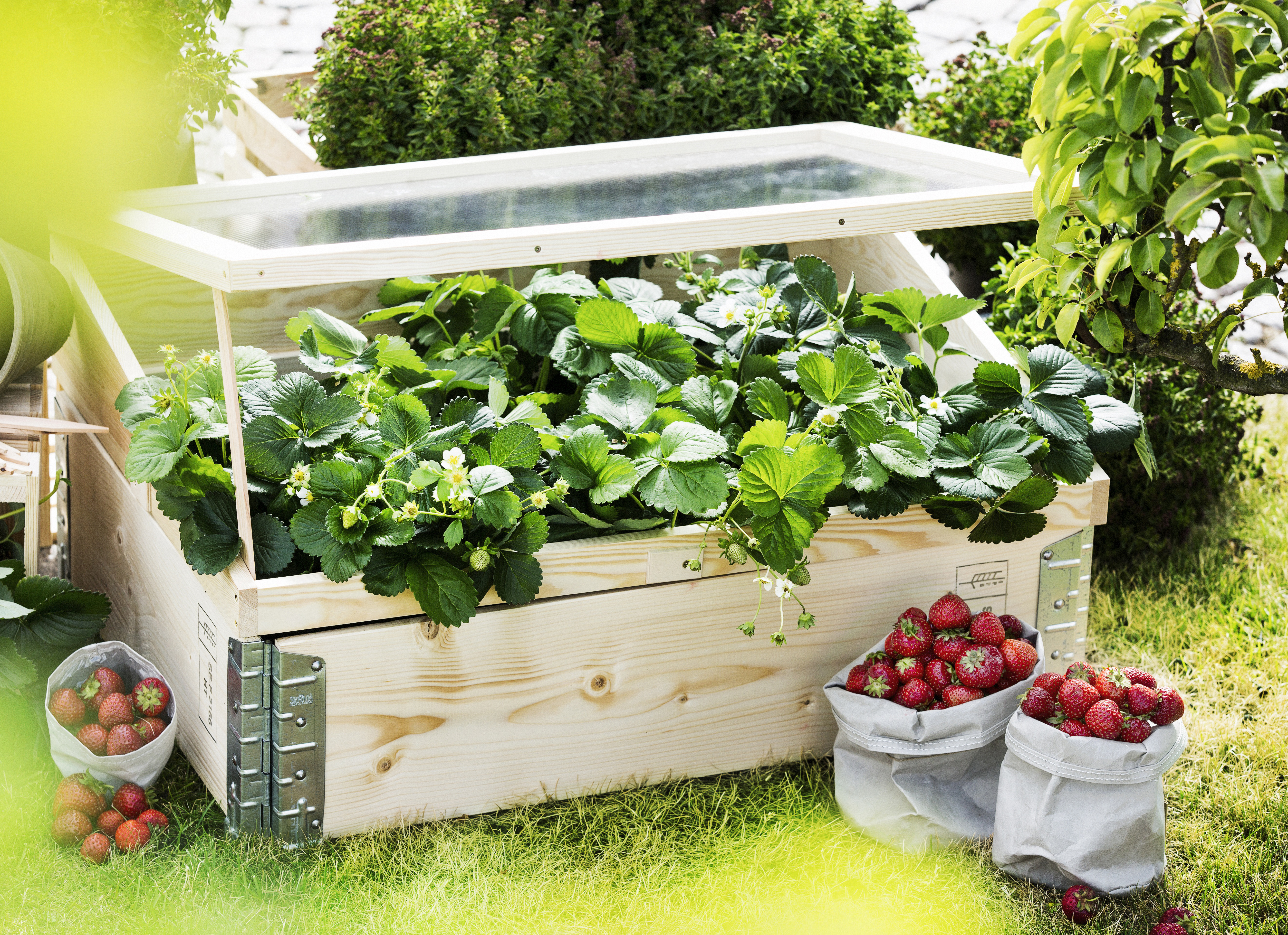 Lavakaulus 2M2 120x80cm luonnonvärinen