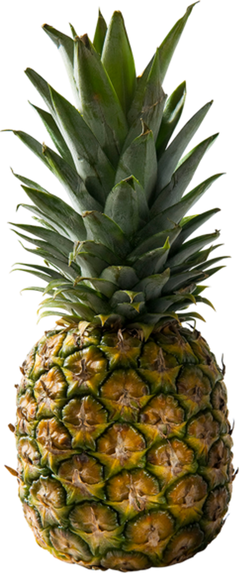 Ananas