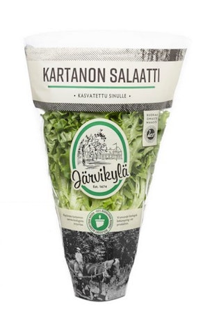 Järvikylä Kartanon salaatti