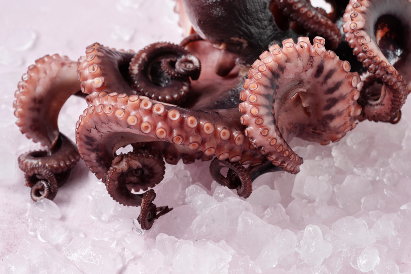 Mustekala baby ocktopus | K-Ruoka Verkkokauppa
