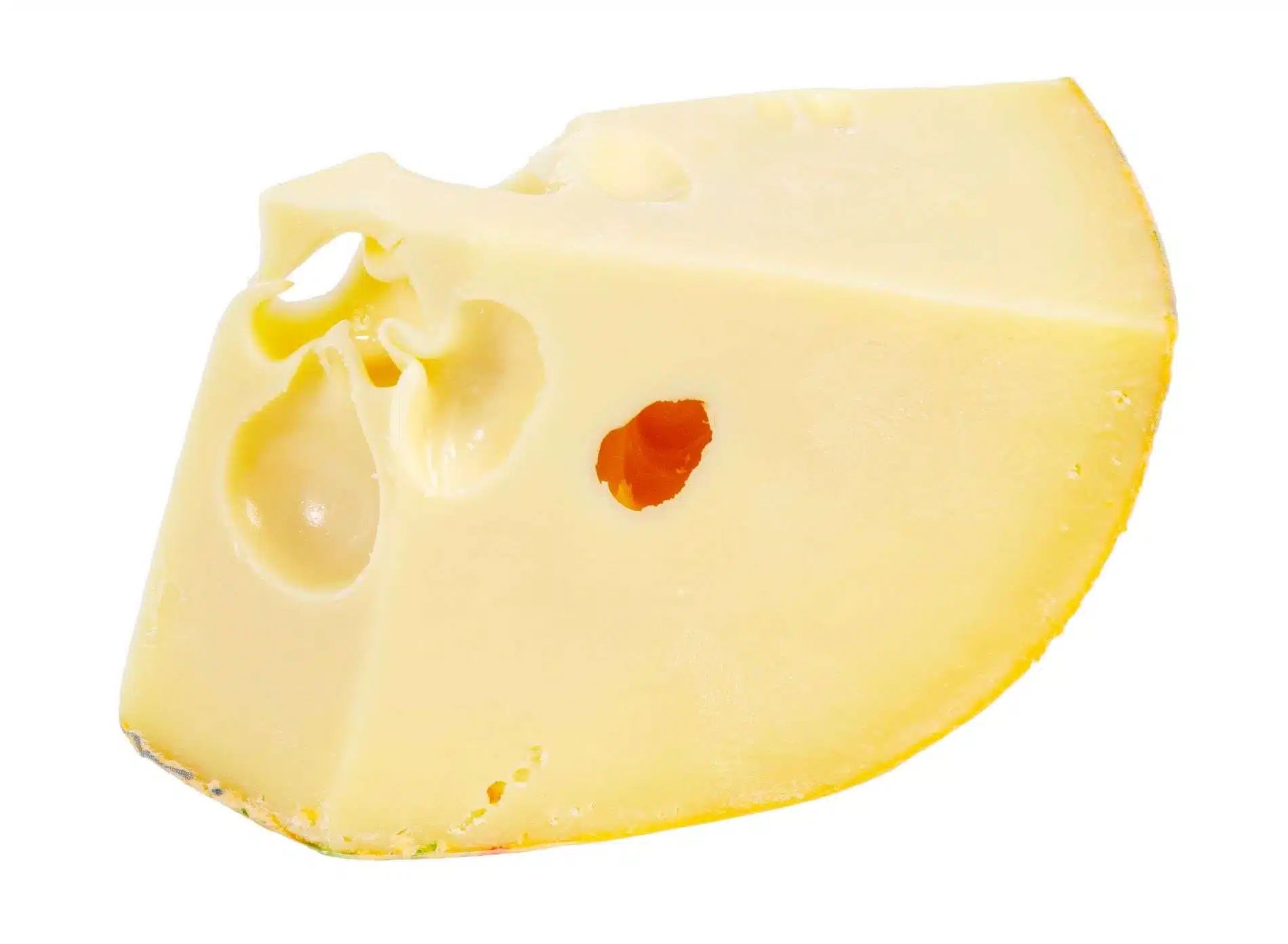 Maasdam
