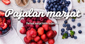 Pajalan marjat