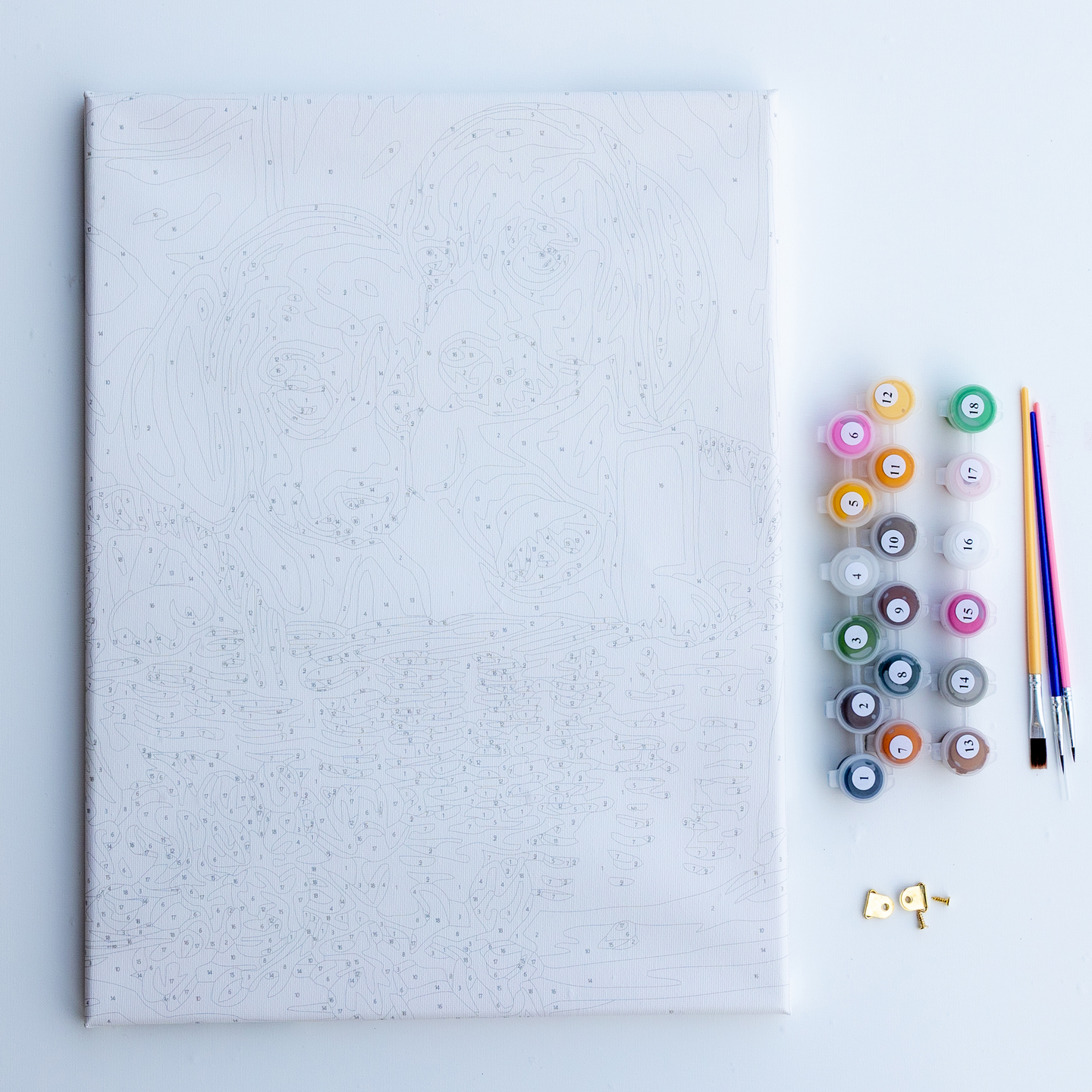 Brushme numeromaalaustyö 30x40cm koirat