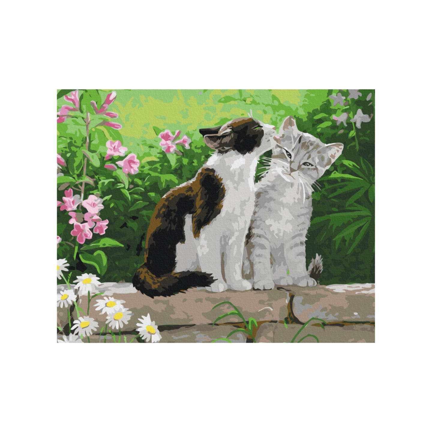 Brushme numeromaalaustyö 30x40cm kissat