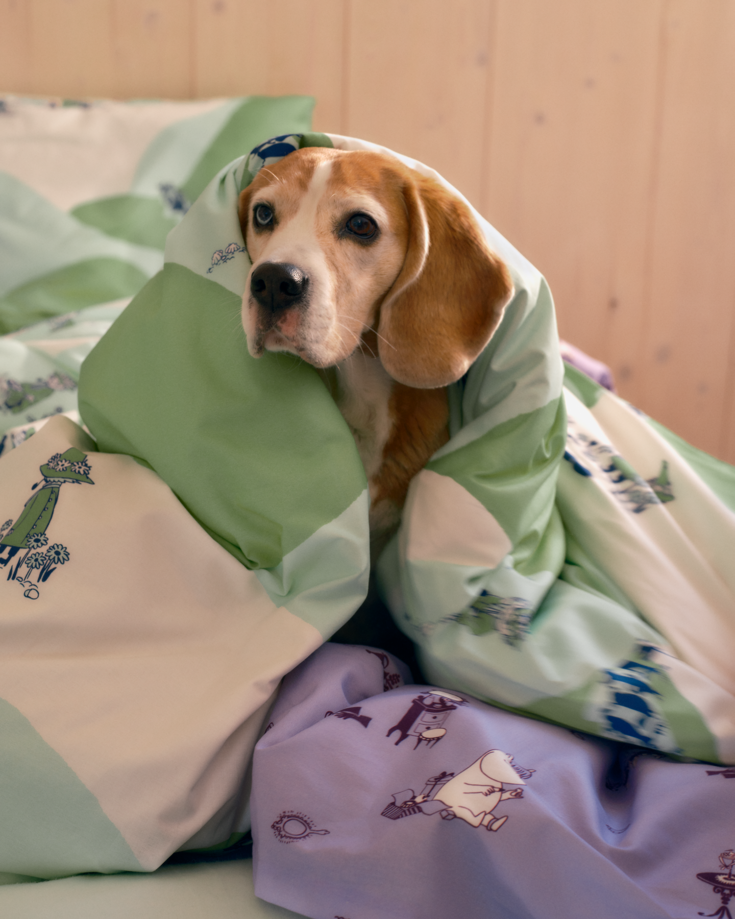 Muumi pussilakanasetti 150 x 210 cm Niiskuneiti