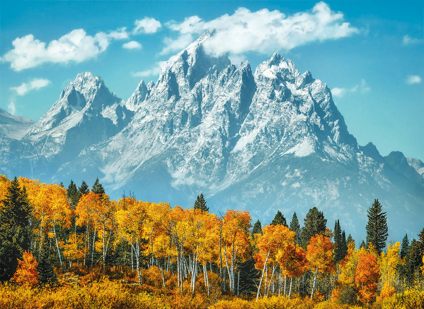 Palapeli 1000 Grand Teton in Fall
