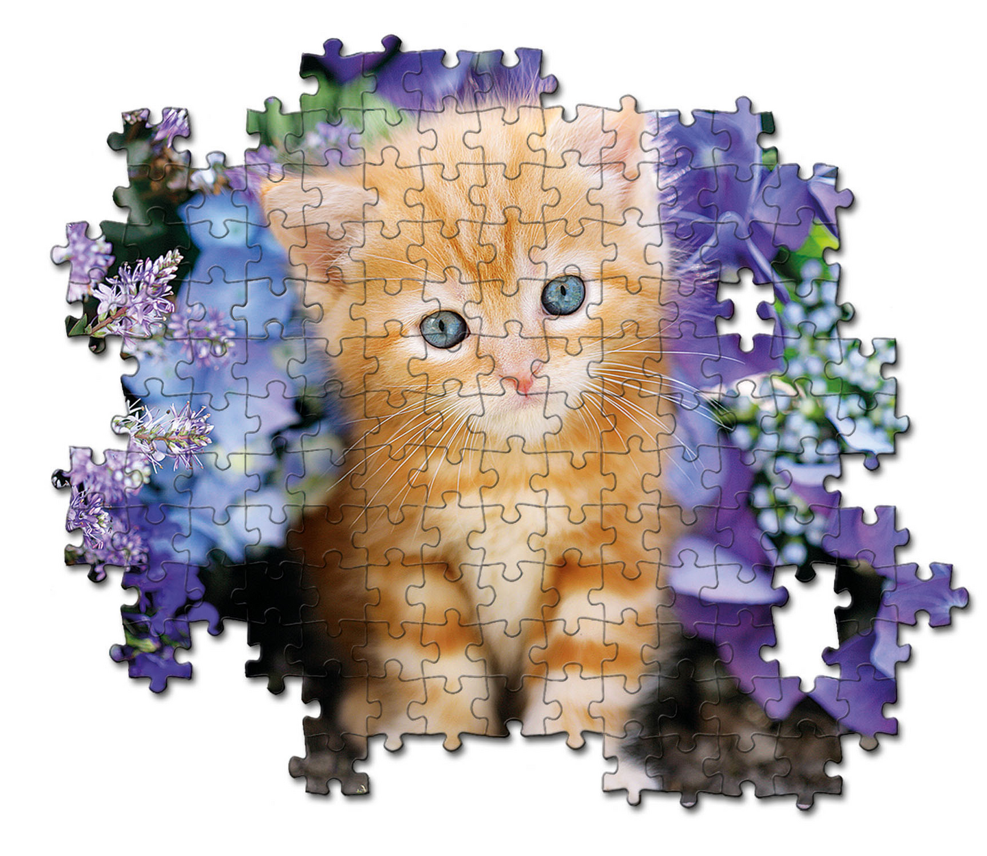 Palapeli 500 Ginger Cat