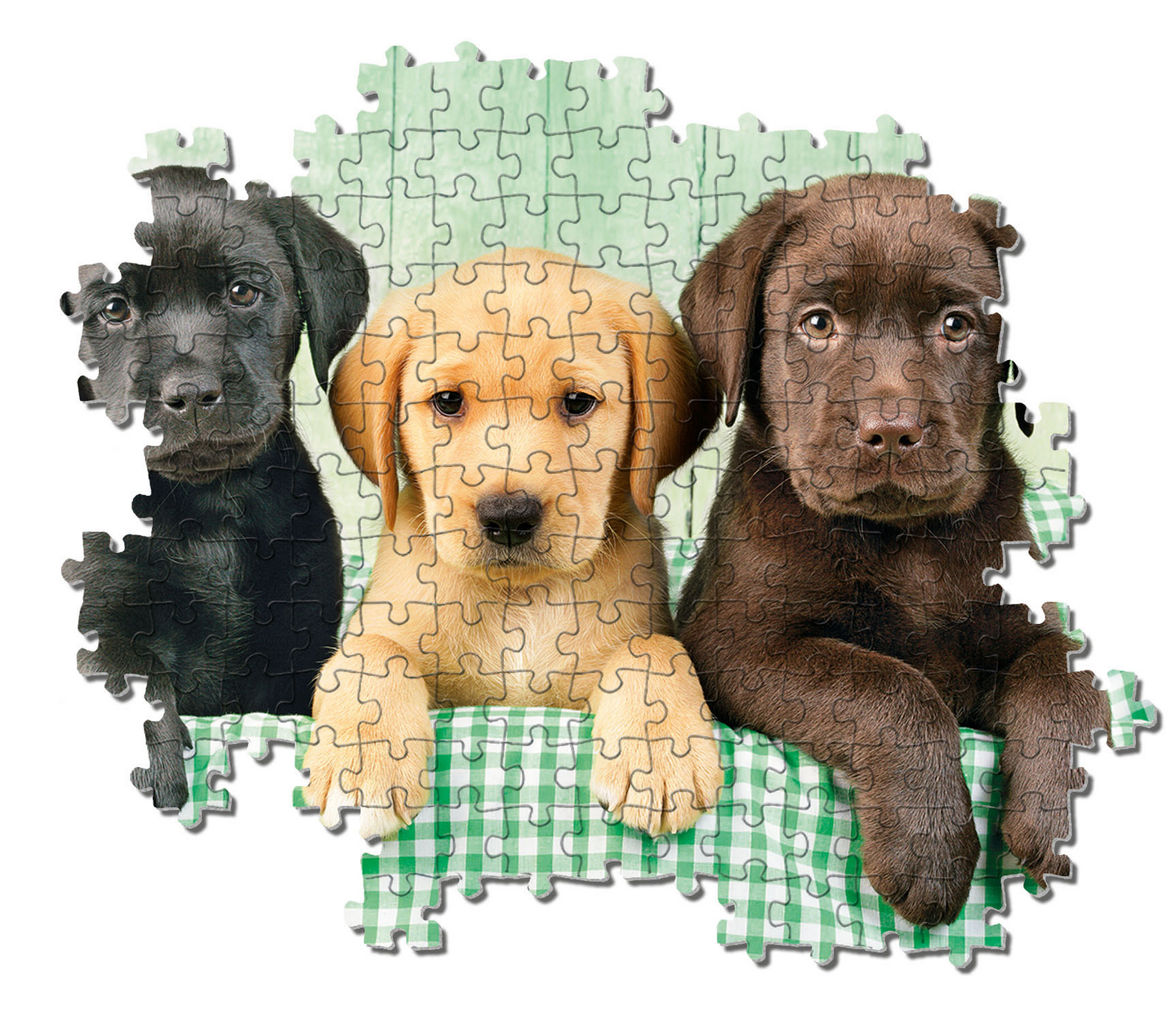 Palapeli 1000 I Tre Labrador