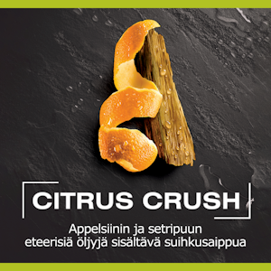 Palmolive Men suihkusaippua 250ml Citrus Crush 3in1