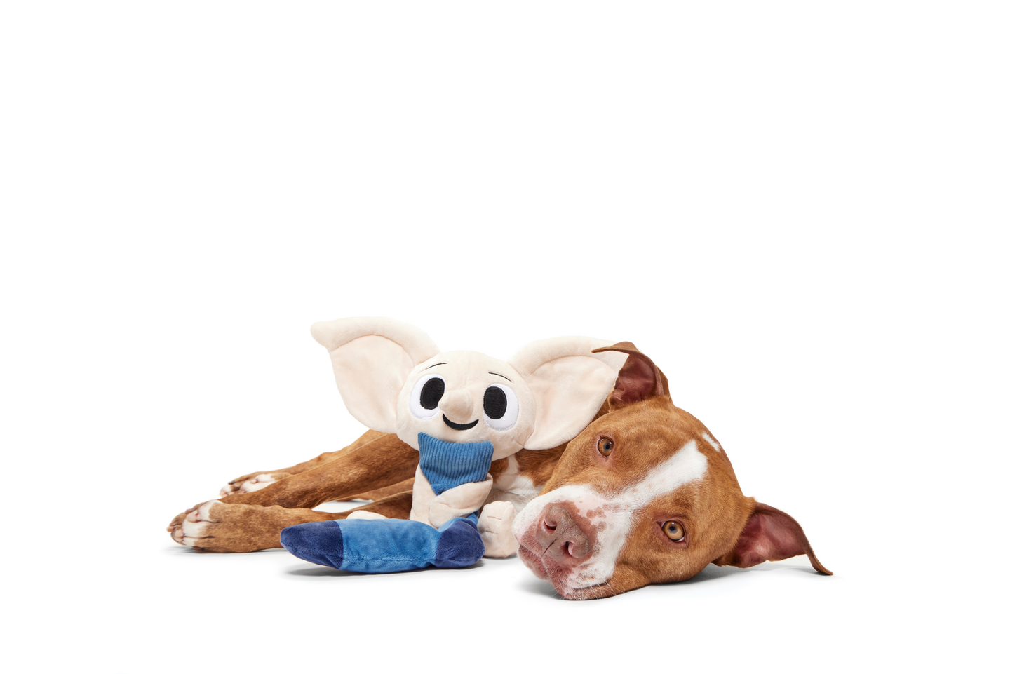 BARK x Harry Potter koiranlelu Dobby 30cm