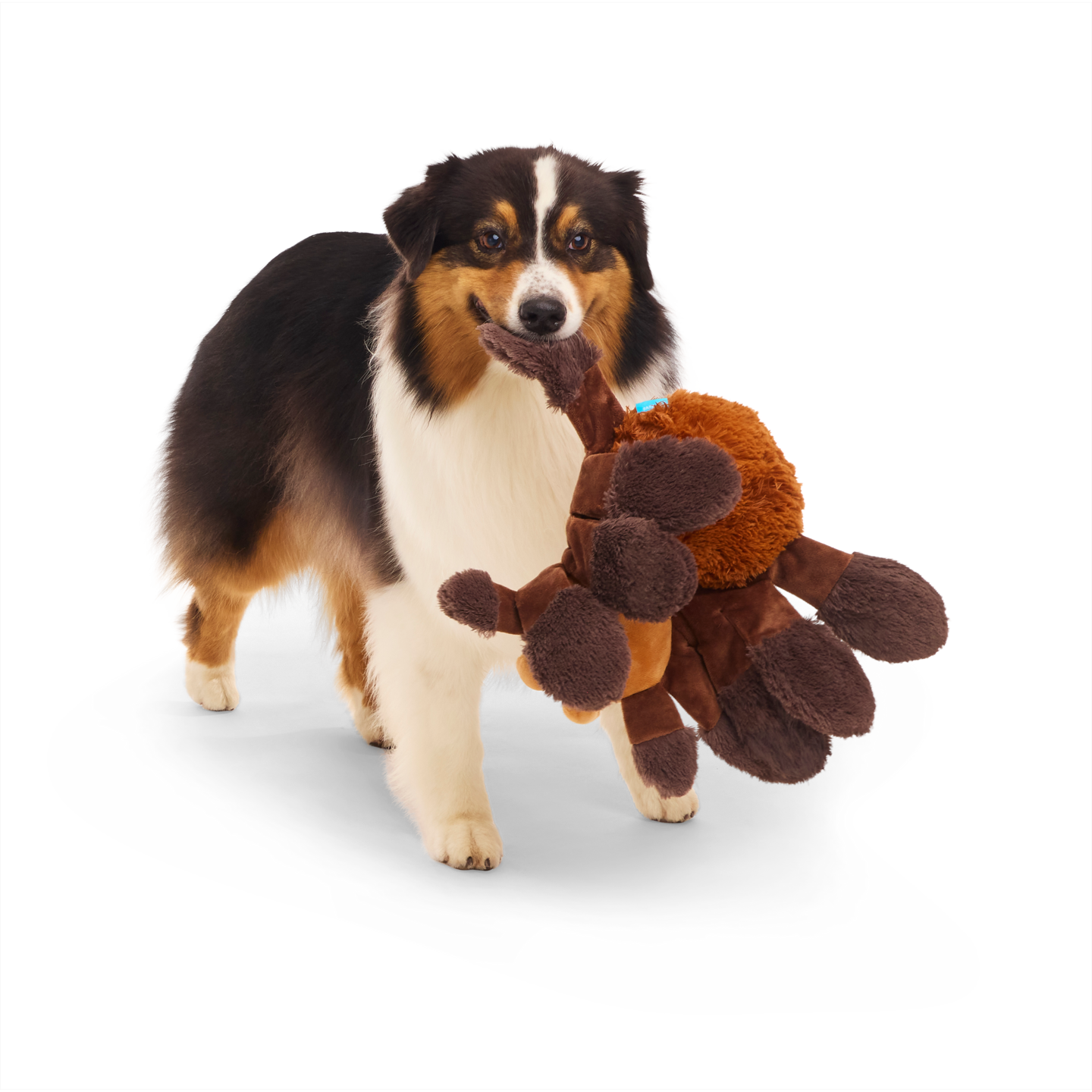 BARK x Harry Potter koiranlelu Hämäkäk 27cm