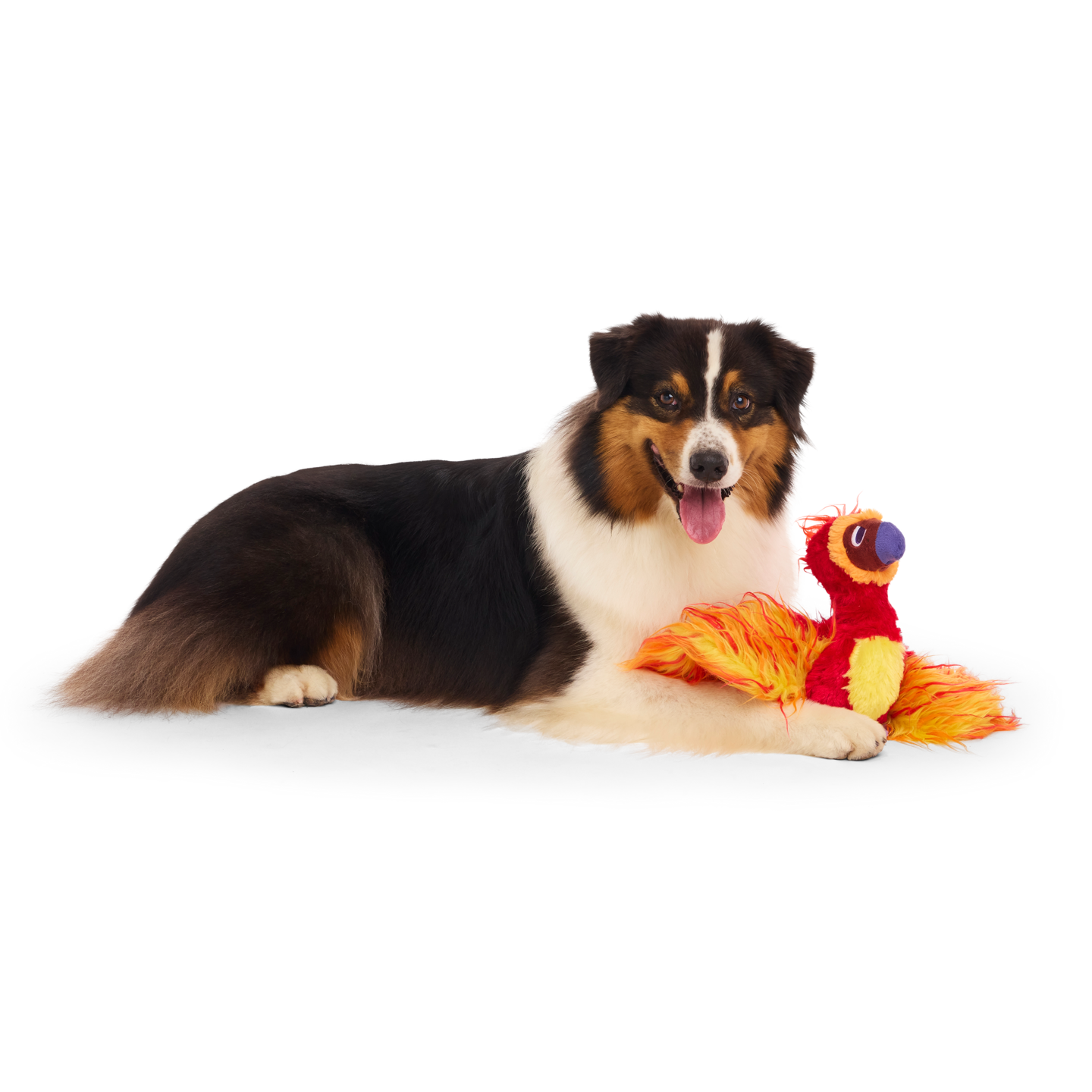BARK x Harry Potter koiranlelu Fawkes 59cm