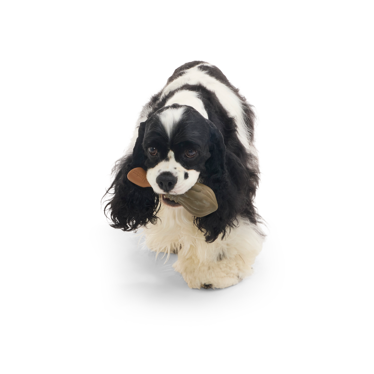 BARK x Harry Potter koiran purulelu Nimbus 2000 16cm