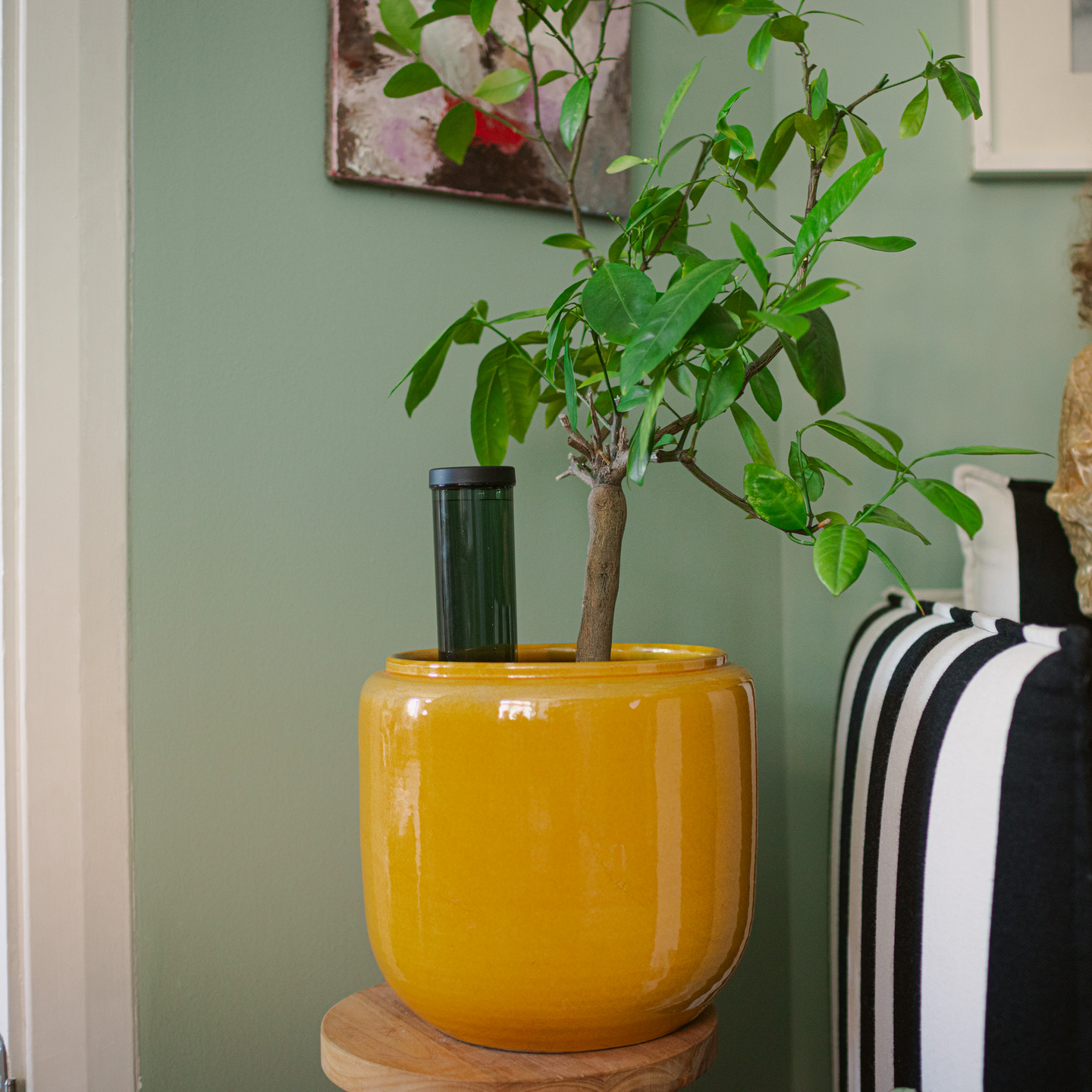 Fiskars Viherkasvien kastelupiikki 3,5 dl