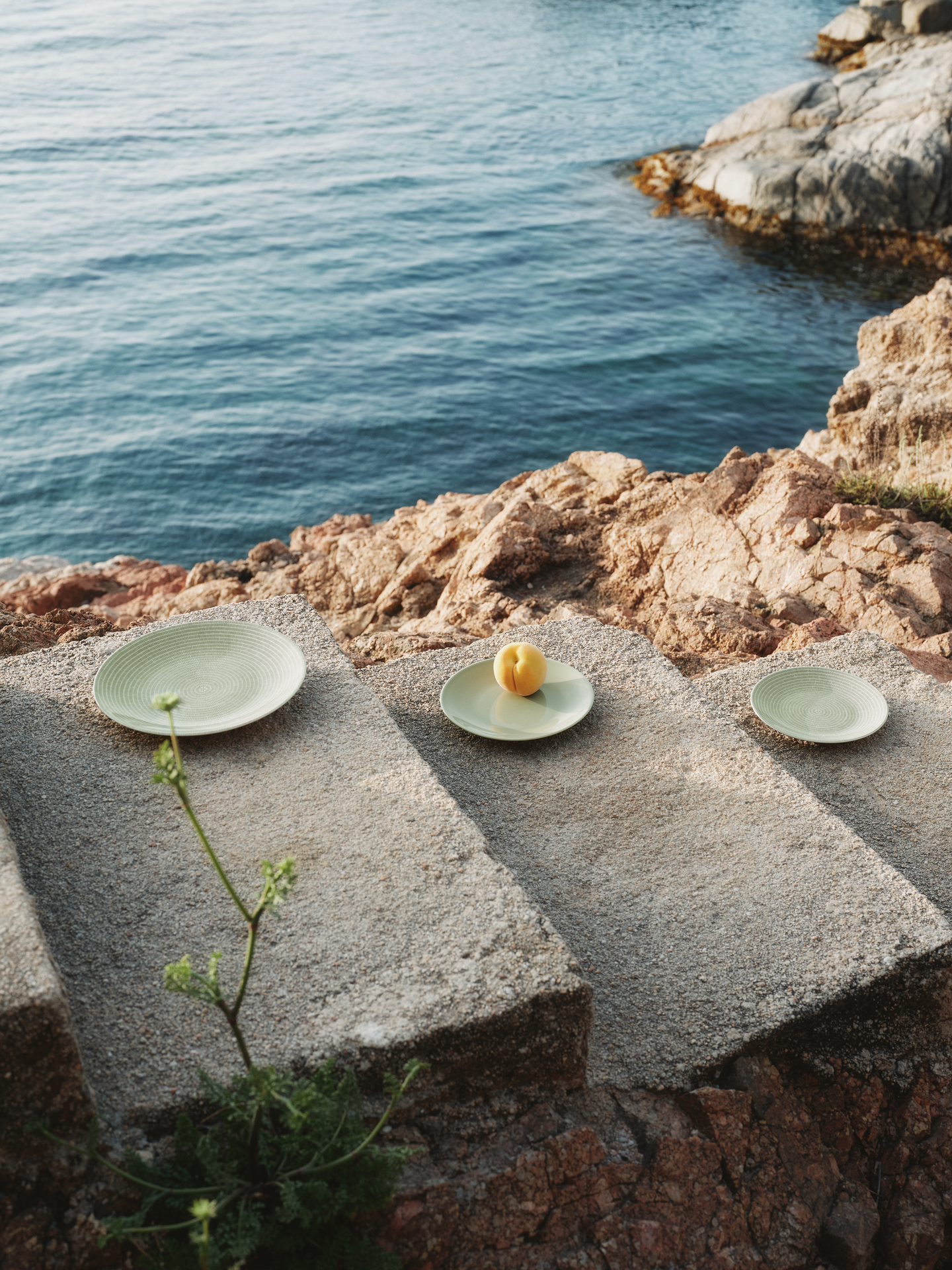 Arabia 24h lautanen 20 cm salvianvihreä