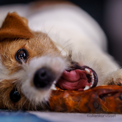 Kaikenkarvaiset poron potkaluu 2kpl 250g